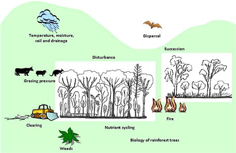 Ecology | Environment, land and water | Queensland Government