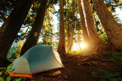 Best National Parks For Camping In The Spring