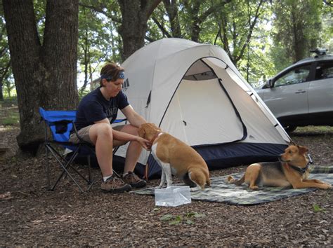 Take Your Dog Camping: The Basics of Camping with Dogs - Natchez Trace ...