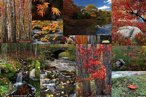 Incredible New England Fall Foliage Photography Photograph by Juergen Roth