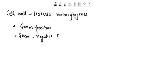 SOLVED: What makes the cell wall of Listeria monocytogenes interesting in regard to the Gram ...