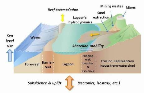 Schematic block diagram of the coastal environment and processes of New... | Download Scientific ...