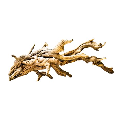 Teak Driftwood Sculpture 24490338 PNG