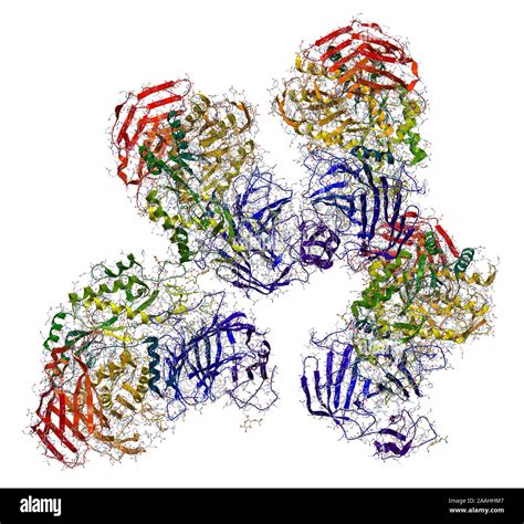 Enzyme Molecule Structure