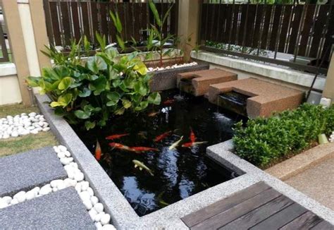 20+ Small Modern Koi Pond – DECOOMO