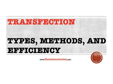 TRANSFECTION TYPES, METHODS, AND EFFICIENCY