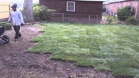 Fescue Sod installation project. Virginia beach, Va. 757-292-9415 - YouTube