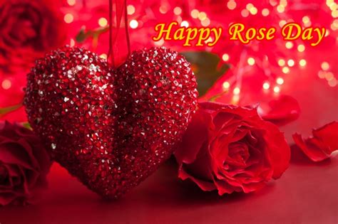 {7th Feb} Happy Rose Day Date, SMS, Quotes, Wishes, Images For Friends Family | Happy Valentines ...