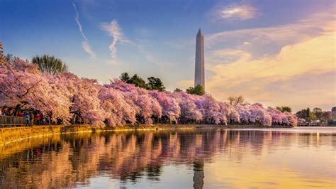 Río Potomac: cruceros y tours en barco, 2021 – Las mejores actividades de Estados Unidos ...