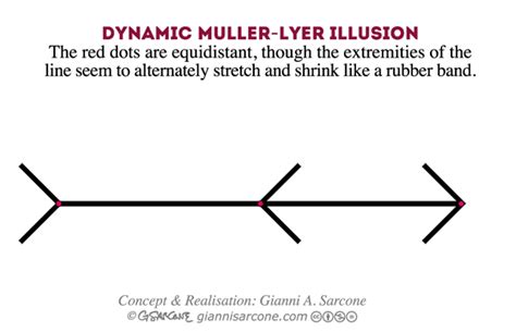 Dynamic Müller-Lyer Illusion - Gianni Sarcone's Studio