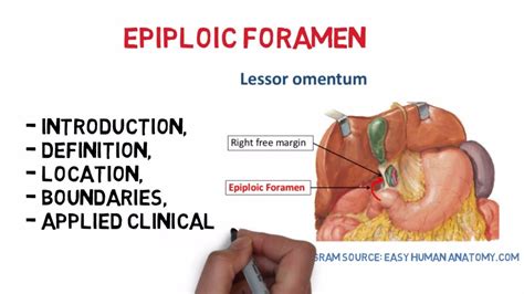 Epiploic Foramen