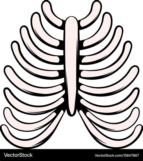 Human rib cage icon icon cartoon Royalty Free Vector Image