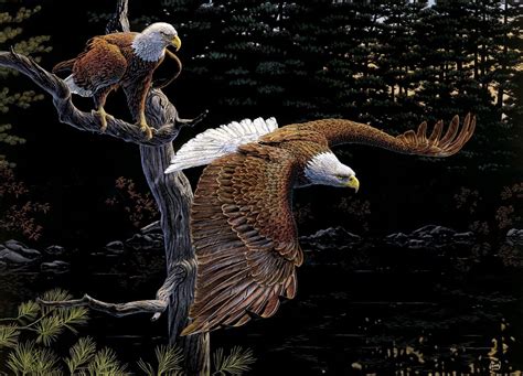 Wildlife Wallpaper, Eagle Wallpaper, Bird Wallpaper, American Bald Eagle, Native American Art ...