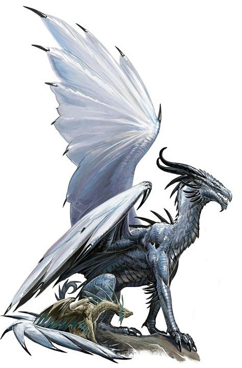 Silver Dragon - Pathfinder PFRPG DND D&D d20 fantasy | Dragon pictures, Mythical creatures ...