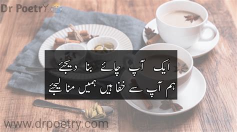 Dr Poetry - Best Urdu Shayari - All Language Poetry