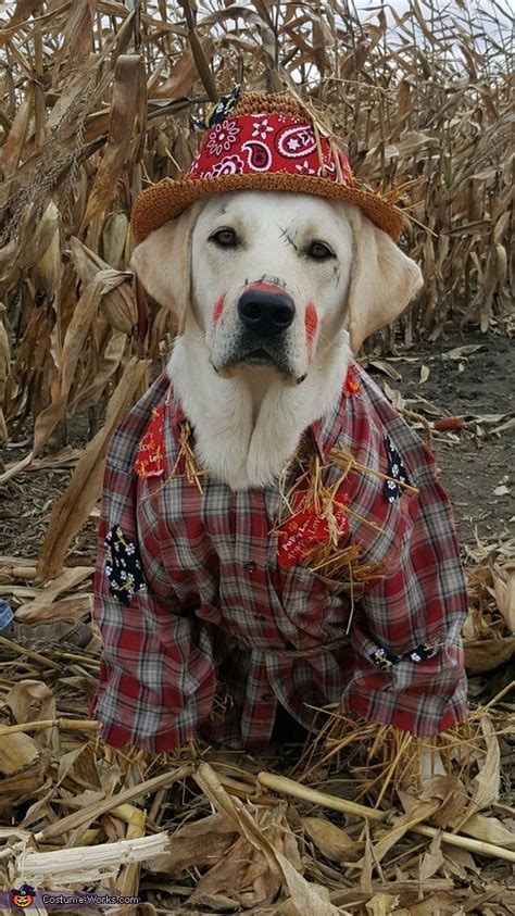 Puppy Scarecrow Costume | Step by Step Guide