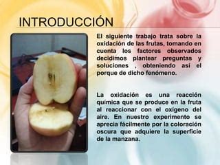 Oxidación De Los Alimentos | PPT