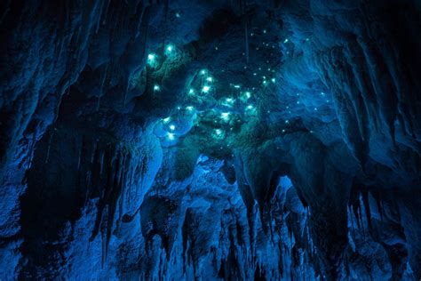 This 30-million-year-old cave in New Zealand has a beautiful phenomenon ...