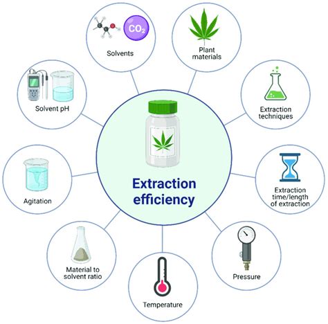 Factors affecting the extraction efficiency of plant bioactive ...