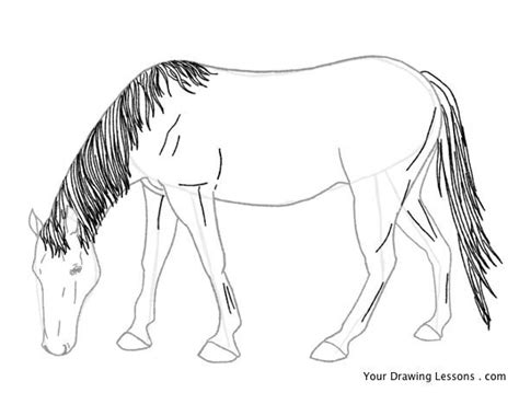 horses eating grass sketch - Google otsing | Horse drawings, Horse head ...