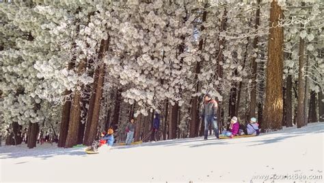 3 Snow Play Areas For Children Near Frazier Park Area | Best California Travel