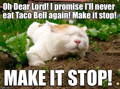 34 Funny Taco Bell Memes You Know All. Too. Well. | Inspirationfeed