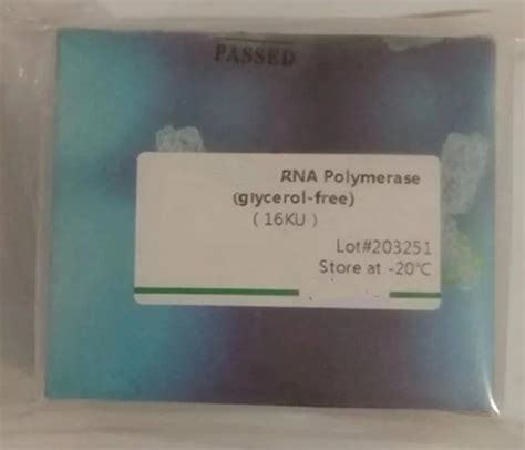Rna Polymerase - China Polymerase