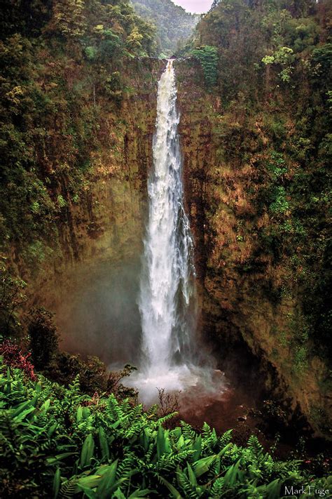 Akaka Falls - Hawaii Photograph by Mark Fuge | Fine Art America