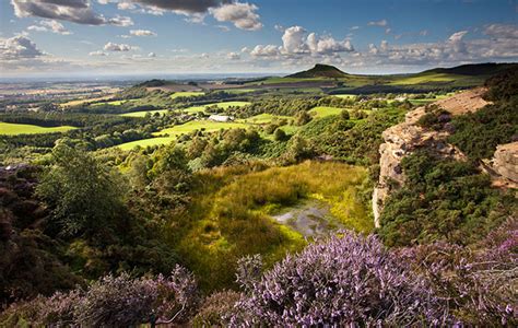 The infinite wonders of the North York Moors National Park - Country Life