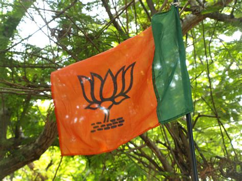 BJP leads in municipal elections in Gujarat | Details inside - IBTimes India