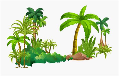 Tropical Rainforest Tree Clipart , Free Transparent Clipart - ClipartKey