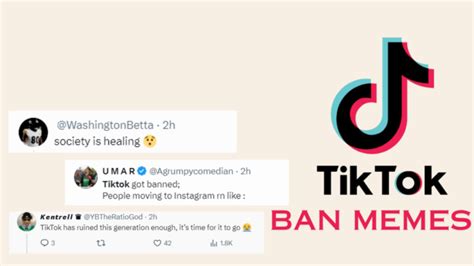 TikTok Ban Memes: A Humorous Take on the Controversy - MemeHeist