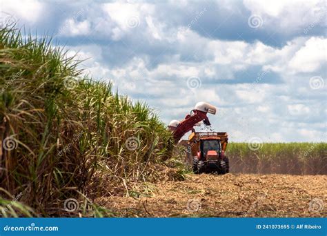 Sugar Cane Harvesting in Brazil Editorial Image - Image of machinery ...