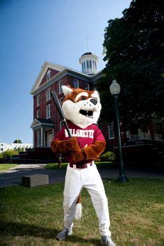 20 Blitz the Bearcat! ideas | mascot, willamette, one and only