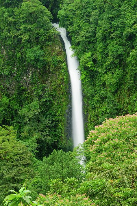 Waterfall In A Tropical Rainforest Photograph by Ogphoto - Fine Art America