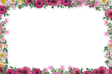 Colorful Flower Frame Border Flower Border Design Flo - vrogue.co