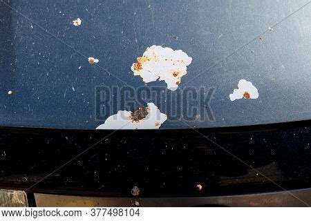 Hood Car Damage Image & Photo (Free Trial) | Bigstock