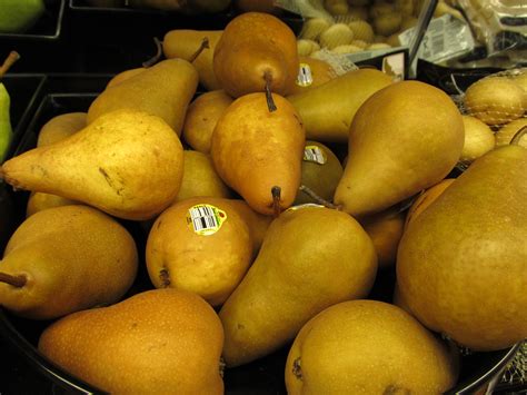 European vs Asian Pears | What Grows There :: Hugh Conlon, Horticulturalist, Garden Advisor, and ...