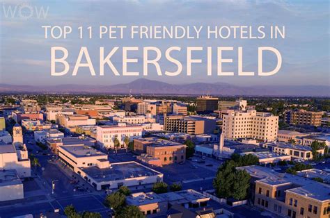 Top 11 Pet Friendly Hotels In Bakersfield 2024 - WOW Travel