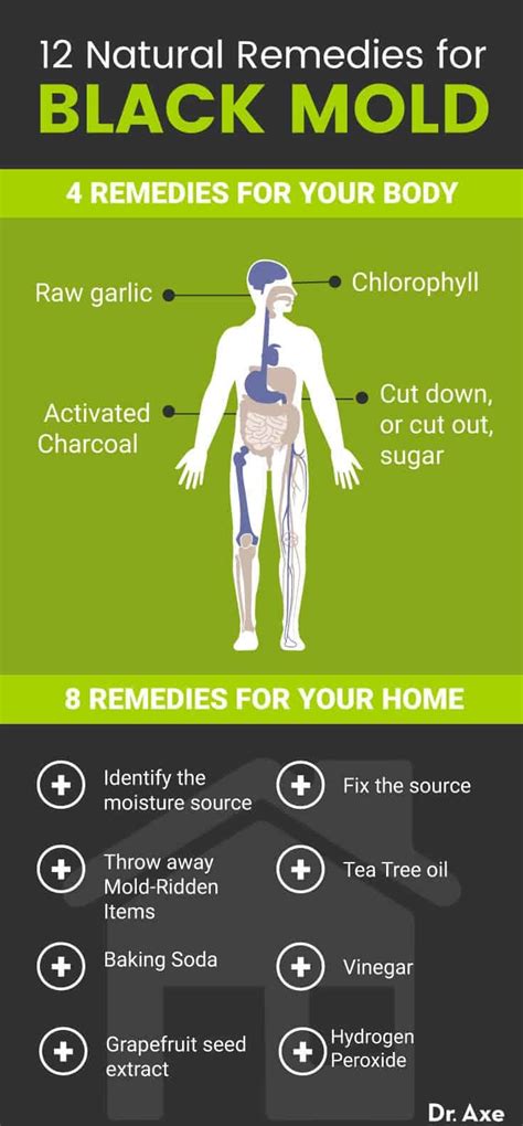 Black Mold Symptoms and 12 Natural Remedies - Dr. Axe