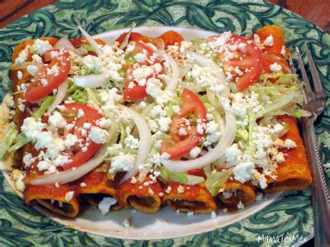 Enchiladas Rojas Mexicanas Recipe | Dandk Organizer