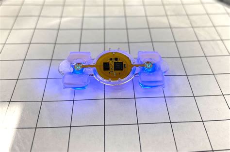 Microelectronics give researchers a remote control for biological robots