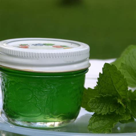 Mint Jelly | Recipe | Mint jelly, Mint jelly recipe, Jelly recipes