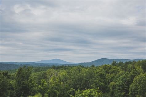 Trees Mountain Horizon Royalty-Free Stock Photo