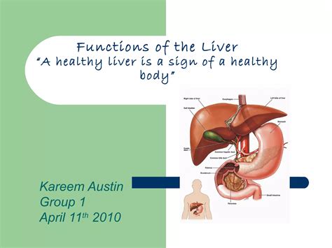 Function of the liver | PPT