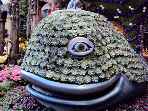 Amy's Creative Pursuits: The Bellagio Gardens