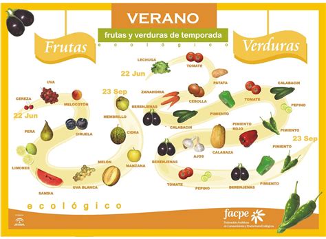 Educación Física en la Red: Frutas y verduras de temporada: Las mejores y más baratas