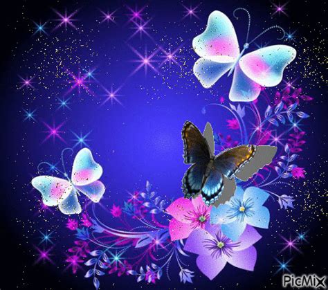 color butterflies gif - Free animated GIF - PicMix