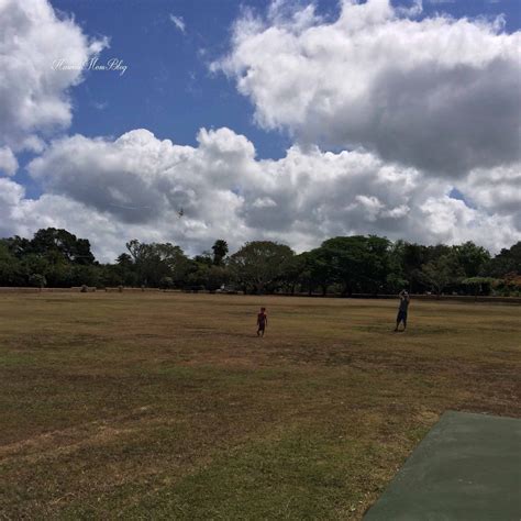 Hawaii Mom Blog: Haleiwa Beach Park