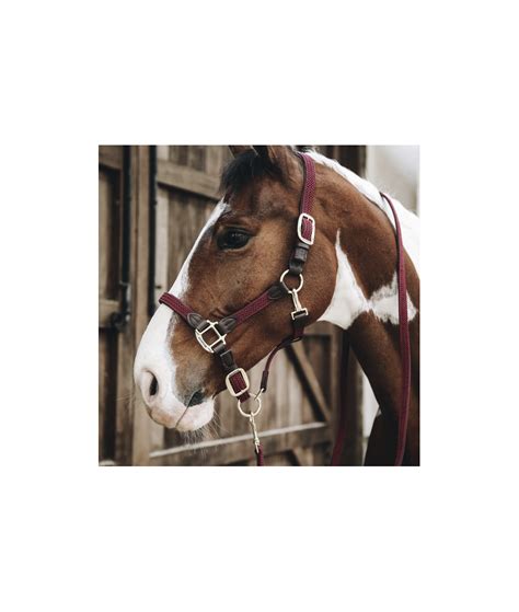 Kentucky Horsewear Plaited Nylon Dog & Horse Lead Bordeaux